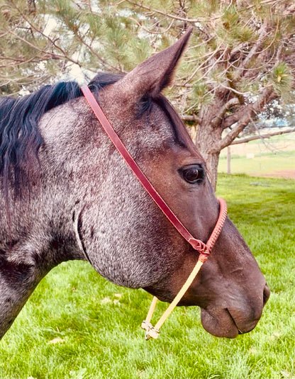 Chocolate Laced Single Rope Tie Down Noseband
